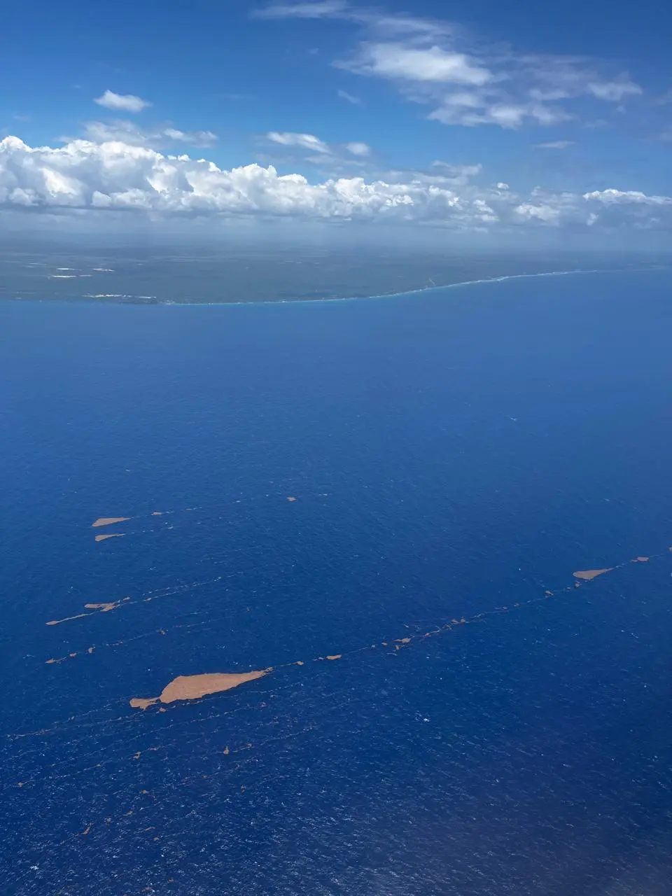 El Caribe registró un récord histórico de sargazo en mayo de 2025