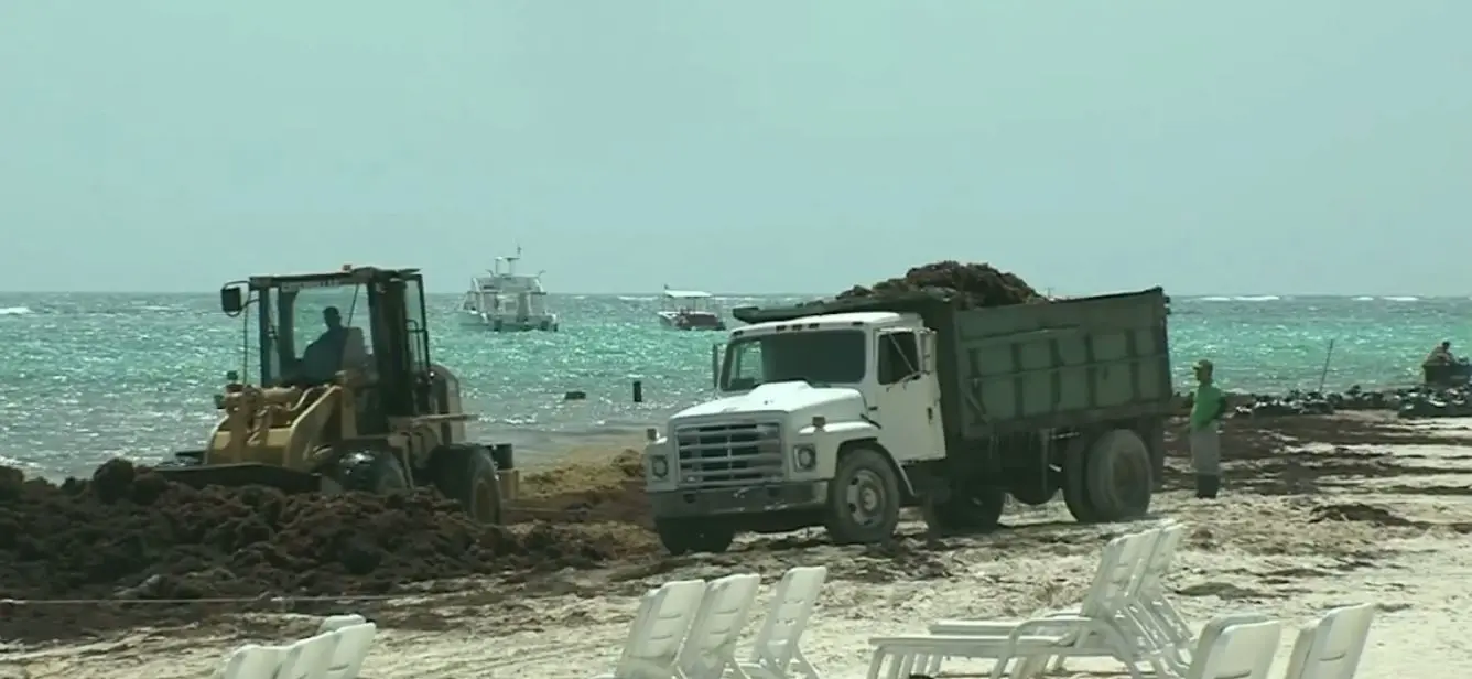 Abinader pide declarar emergencia regional por sargazo en República Dominicana