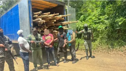 Detienen a seis personas e incautan equipo por tala ilegal de &aacute;rboles