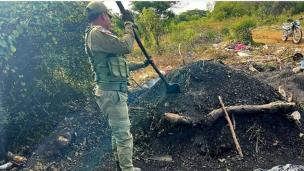 SENPA y Medio Ambiente desmantelan centro ilegal de producción de carbón vegetal
