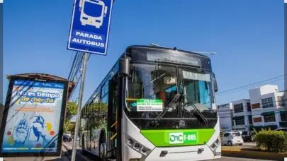 Operadores corredor Núñez de Cáceres denuncia Intrant los abandona a su suerte