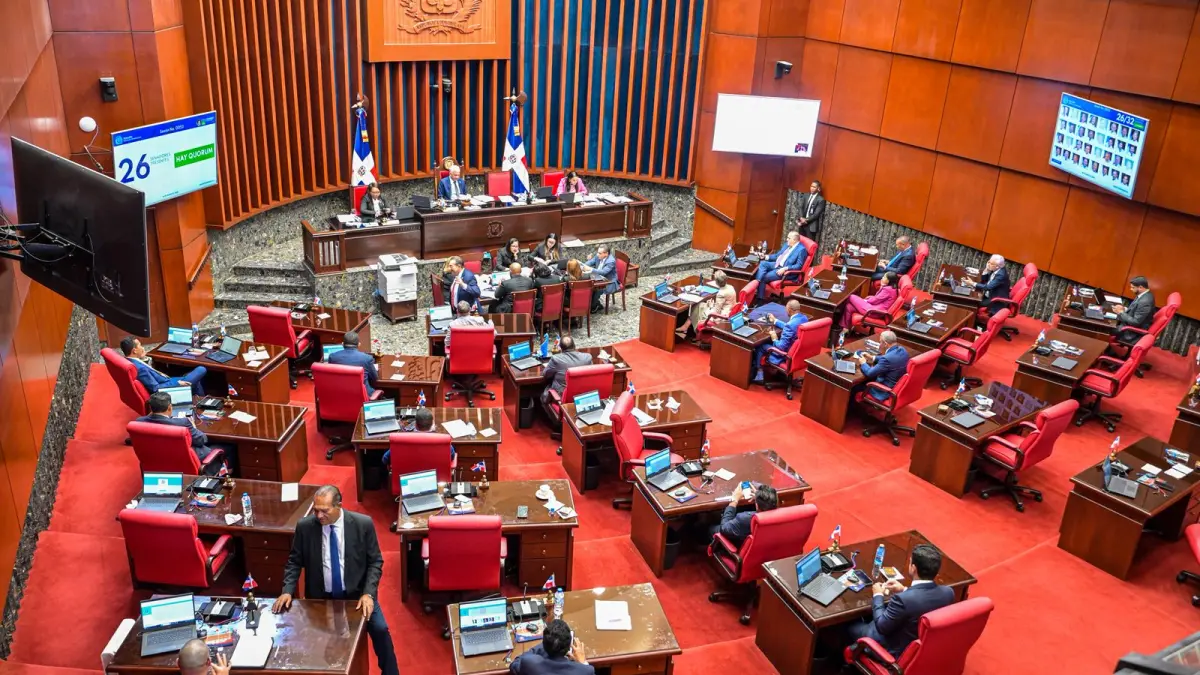 Senado aprueba con modificaciones Proyecto de Ley Orgánica del Tribunal Superior Electoral