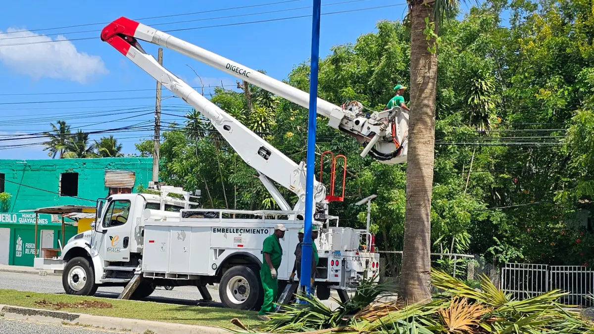 Digecac embellece el Boulevard de Juan Dolio con operativo de poda y siembra de guayacanes