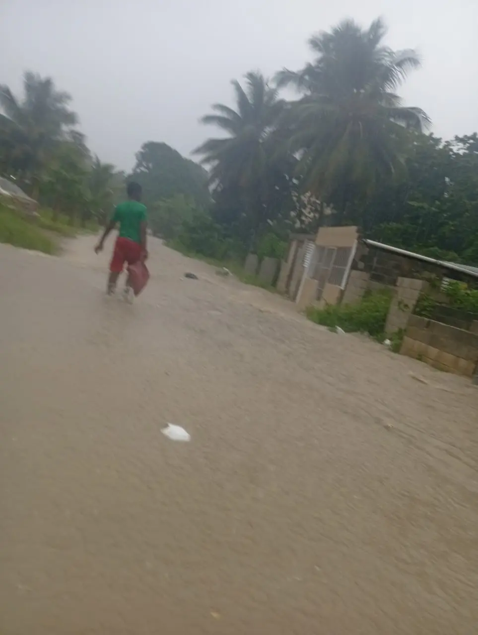 Moradores de Villa Emilia denuncian inundaciones y abandono del parque “Sabana Park”