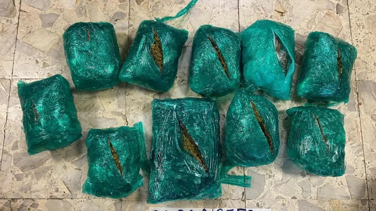DNCD ocupa 10 paquetes de marihuana camuflados en prendas de vestir