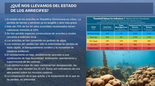 Estado crítico de los arrecifes en República Dominicana.
