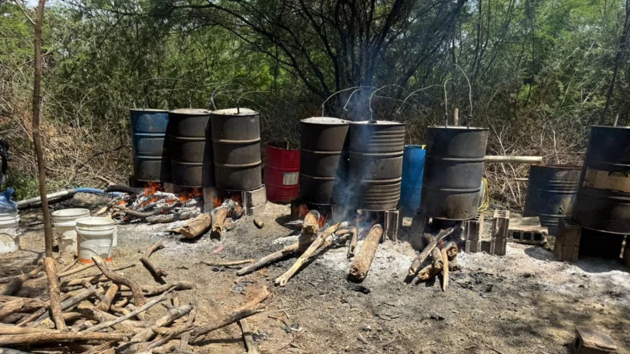 Barriles con fuego en el bosque