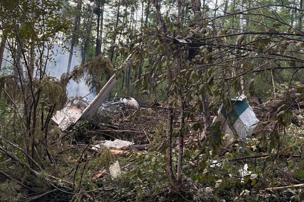 Restos de avión en un bosque tras accidente.