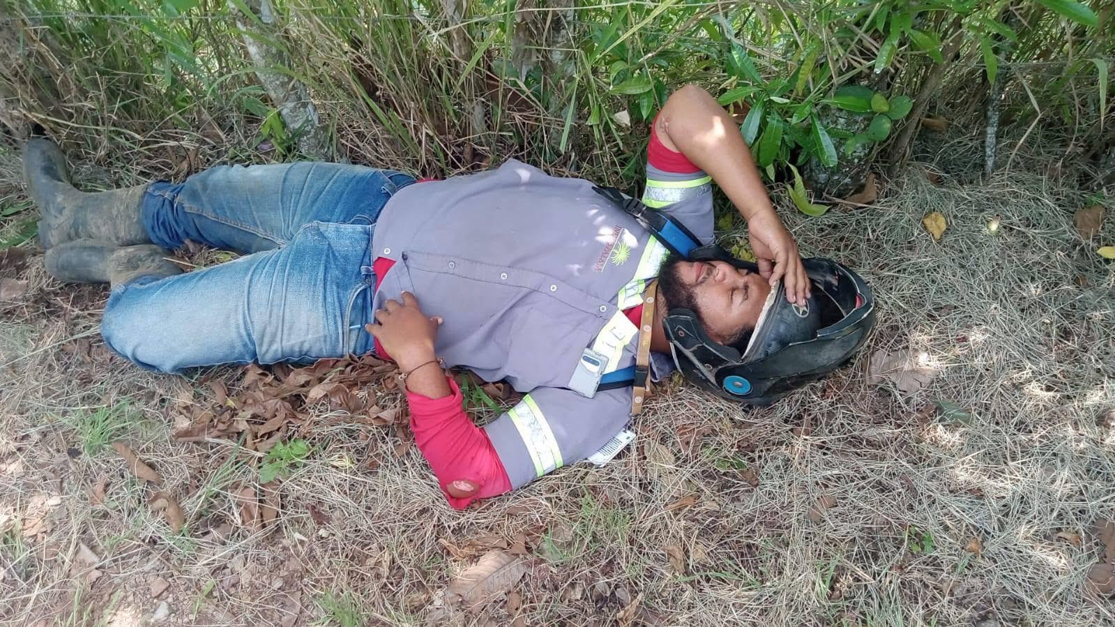 Hombre descansando en el suelo bajo árboles.