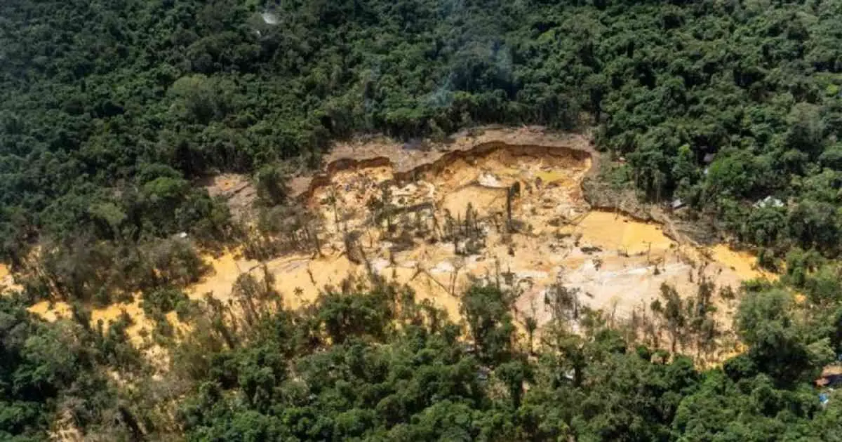 Greenpeace denuncia un aumento alarmante de la minería ilegal en la Amazonía brasileña
