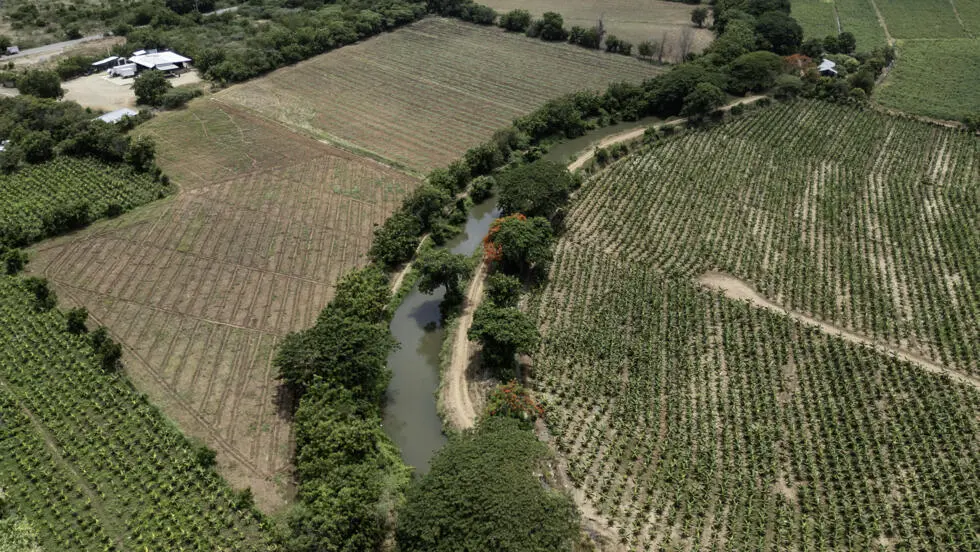Agro, construcción, turismo: la deportación de haitianos golpea la economía dominicana