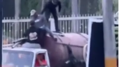 DGM detiene 12 inmigrantes haitianos indocumentados que eran trasladados en el tanque de un cami&oacute;n cisterna