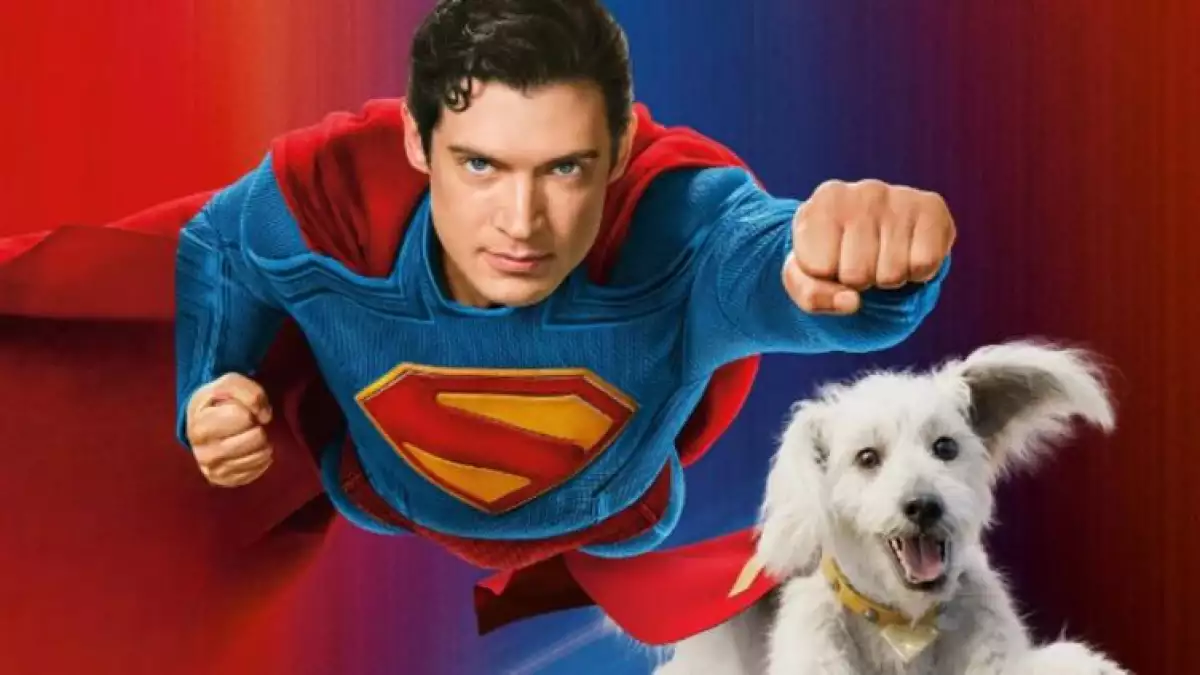 El efecto Krypto: la nueva película de Superman dispara la adopción de perros rescatados en más de 500%