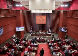 Nuevo Código Penal avanza en el Senado con apoyo de oficialistas y opositores