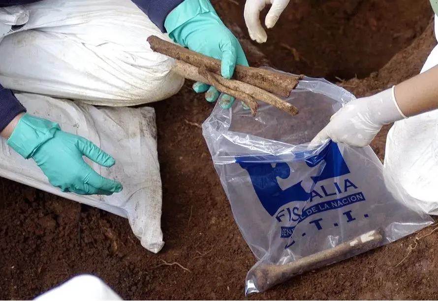 Hallan en fosa común ocho cuerpos de líderes sociales y religiosos asesinados en Colombia