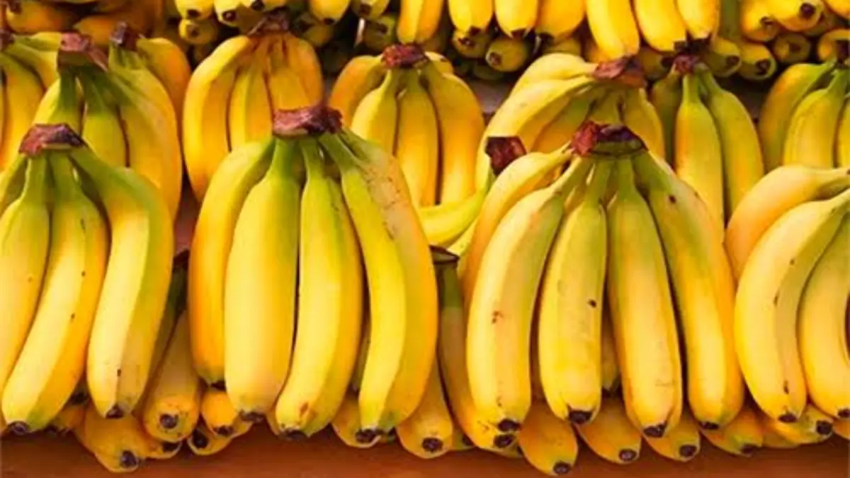 Panamá mantiene en 4% su previsión de crecimiento este año pese crisis del banano