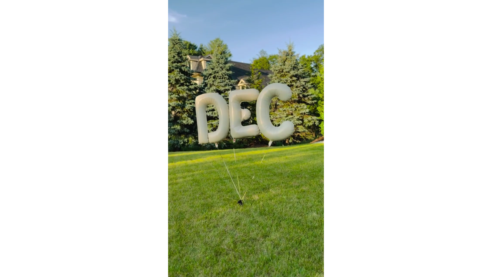 Globos DEC en jardín verde con árboles