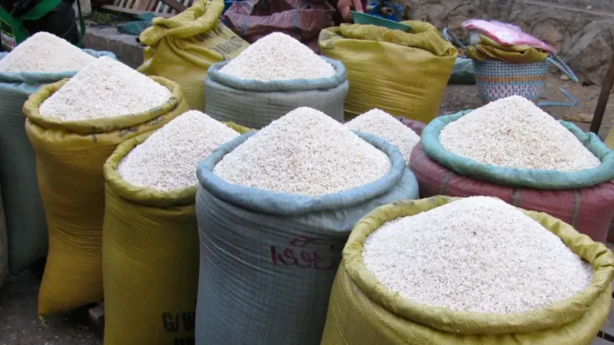 Denuncian que las importaciones masivas de arroz llevarán a la quiebra a miles de productores del nordeste