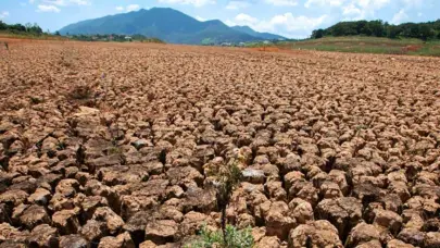 Desde 2023 se han registrado periodos de sequía más dañinos y generalizados, según estudio