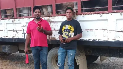 Retienen camión con 22 reses que no cumplían las regulaciones de saneamiento