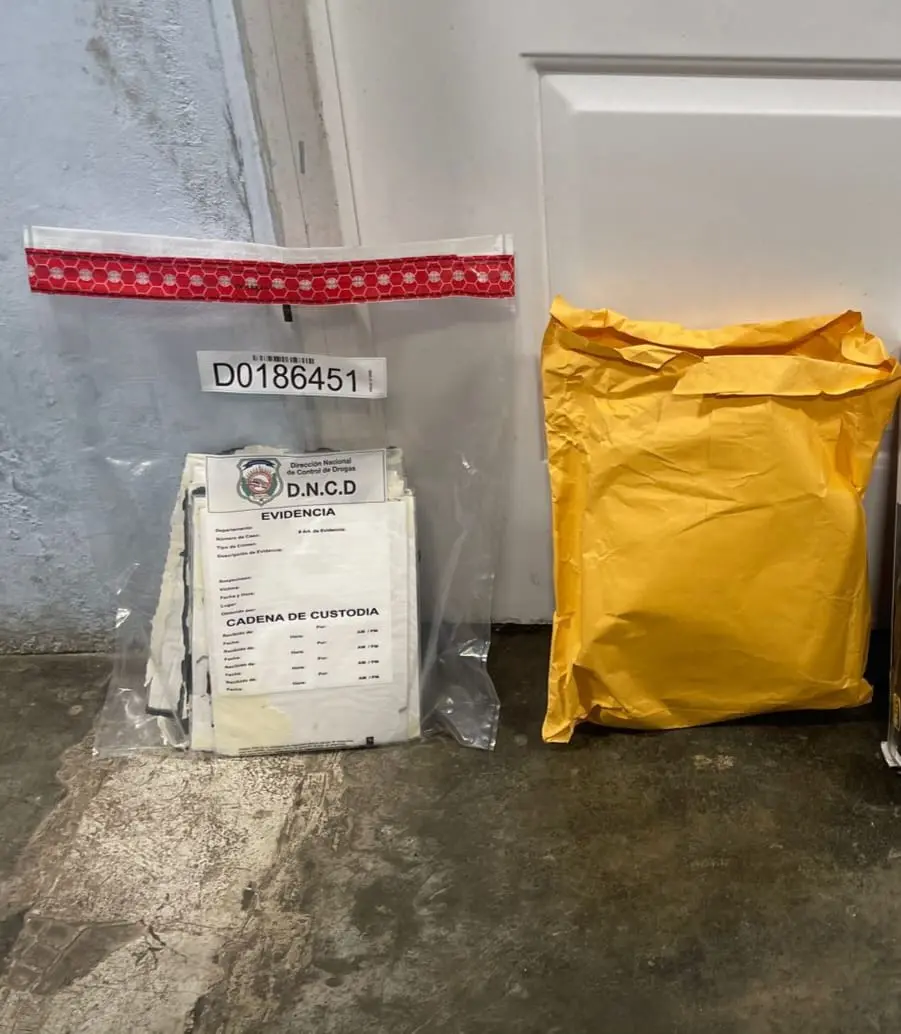 DNCD incauta 18 láminas de cocaína camufladas en cuadros de cartón