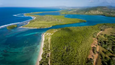 Ecosistemas en riesgo: La radiografía de un colapso silencioso en las costas dominicanas