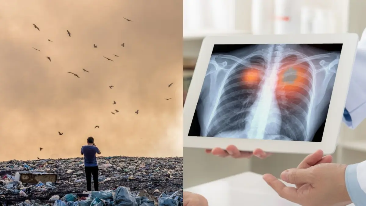 El ADN revela la conexión entre la contaminación y el cáncer de pulmón en no fumadores, según estudio