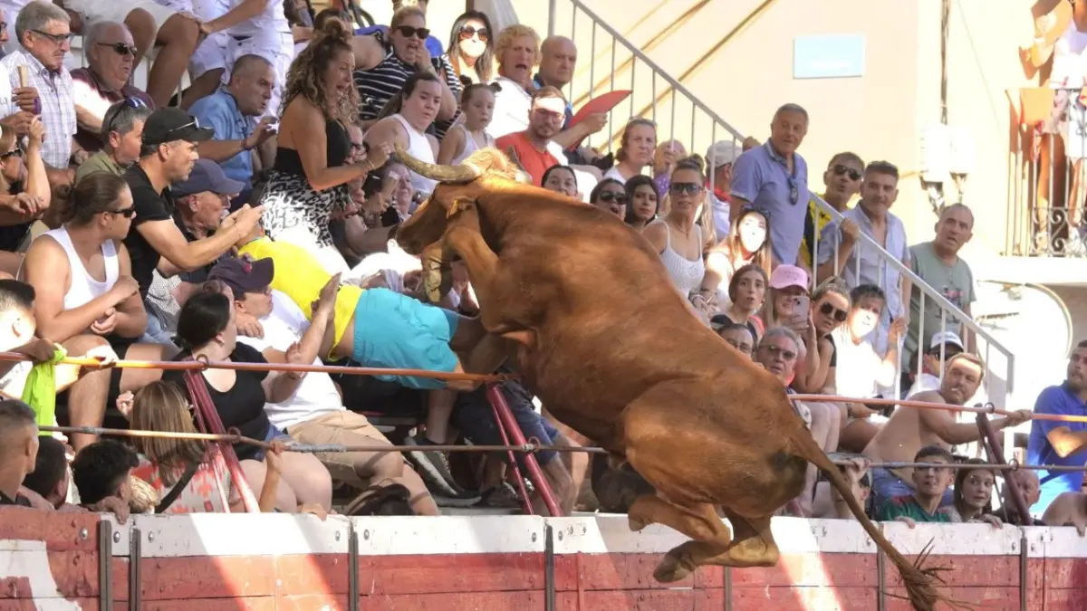 Toro salta a las gradas en un festejo taurino dejando dos heridos graves