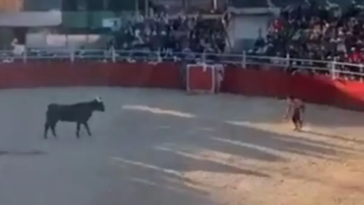 Adolescente queda inconsciente tras embestida de un toro en Perú