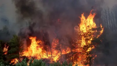 Grecia lucha contra siete incendios en medio de una ola de calor tórrido