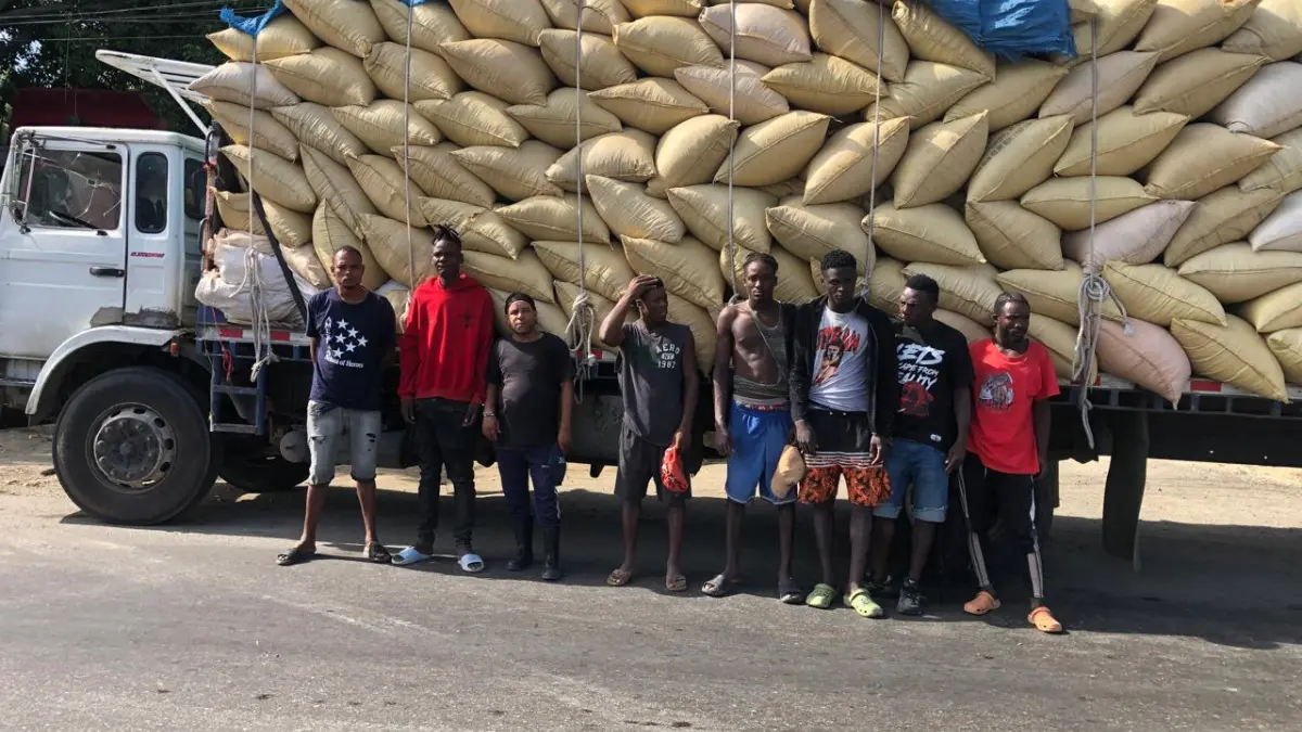 Detienen camión con haitianos indocumentados ocultos entre sacos de paja de arroz
