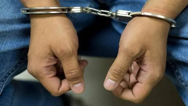 Ministerio Público arresta hombre que lanzó perro desde el piso 11 de una torre en Santo Domingo