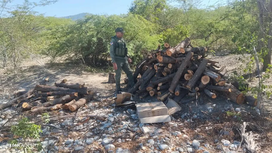 SENPA y Medio Ambiente desmantelan hornos e incautan madera utilizada en producción ilegal de carbón vegetal