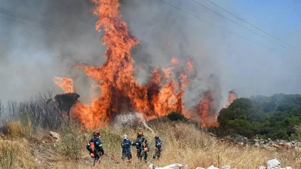 Bomberos combaten incendio forestal activo