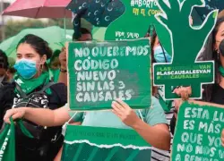 Vuelven las tres causales: el debate sobre el Código Penal se enciende de nuevo