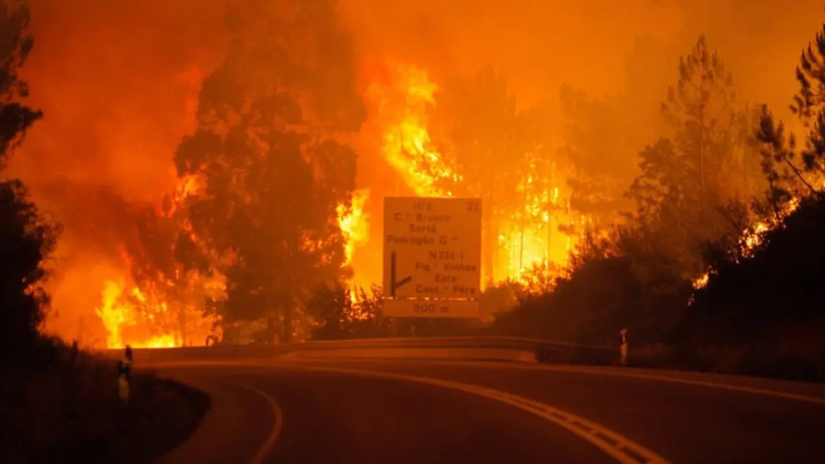 Incendio en Narbona provoca cierre de la autopista A-9 entre Francia y España