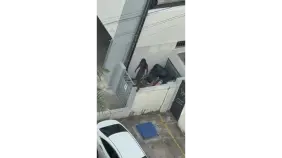 Vecinos denuncian que hombre violento ronda sus propiedades