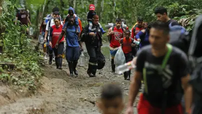 Coqu&iacute; la nueva aplicaci&oacute;n m&oacute;vil que alerta a los migrantes en Estados Unidos