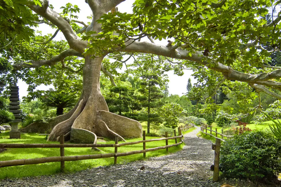 Proyecto vial en República de Colombia representa una amenaza para el Jardín Botánico, advierte arquitecto