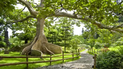 Proyecto vial en Rep&uacute;blica de Colombia representa una amenaza para el Jard&iacute;n Bot&aacute;nico, advierte arquitecto
