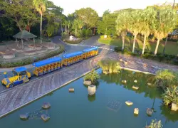 Hoy se conocerá el plan de solución vial en los alrededores del Jardín Botánico