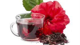 La flor de Jamaica o Cayena: una joya nutricional poco aprovechada en República Dominicana