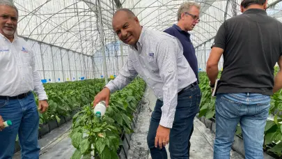 Agricultura impulsa control biol&oacute;gico de plagas en invernaderos de Ocoa