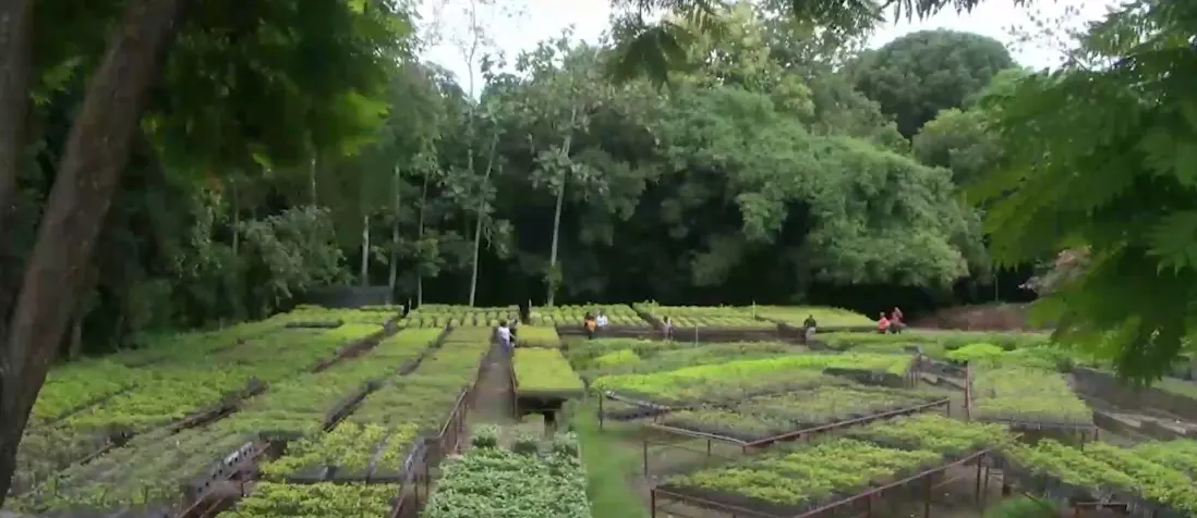 Crisis de seguridad en parque ecológico de Los Alcarrizos genera protesta ciudadana