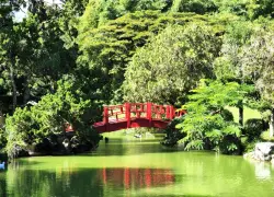 El Jardín Botánico será remozado por su 50 aniversario