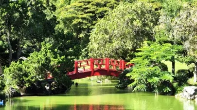 El Jardín Botánico será remozado por su 50 aniversario