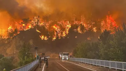 Turquía sigue luchando contra los incendios forestales, que ya han dejado 14 muertos