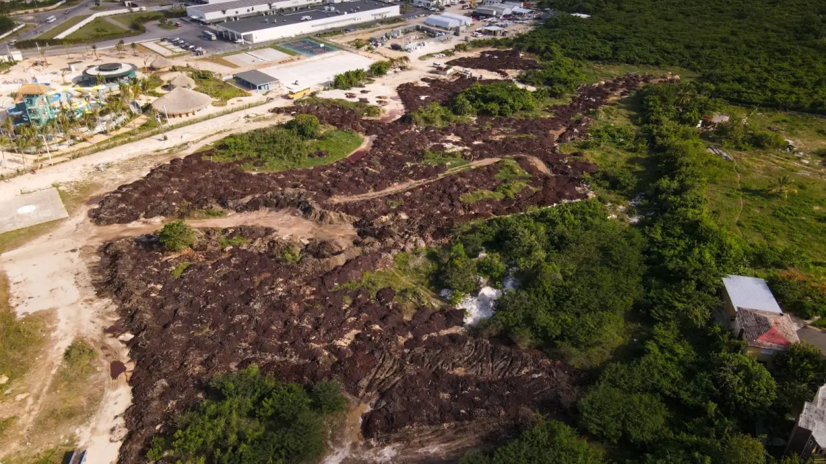 Medio Ambiente somete a la justicia un hotel que violaba leyes ambientales en Punta Cana