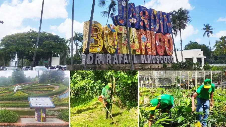 Fuerza del Pueblo alerta sobre impacto ambiental del nuevo proyecto vial en Santo Domingo